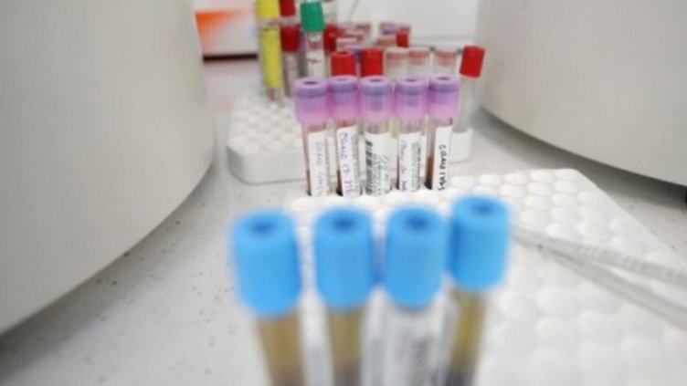 Снимка:Димитър Кьосемарлиев, Dnes.bg