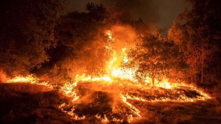 Снимка: архив, БГНЕС