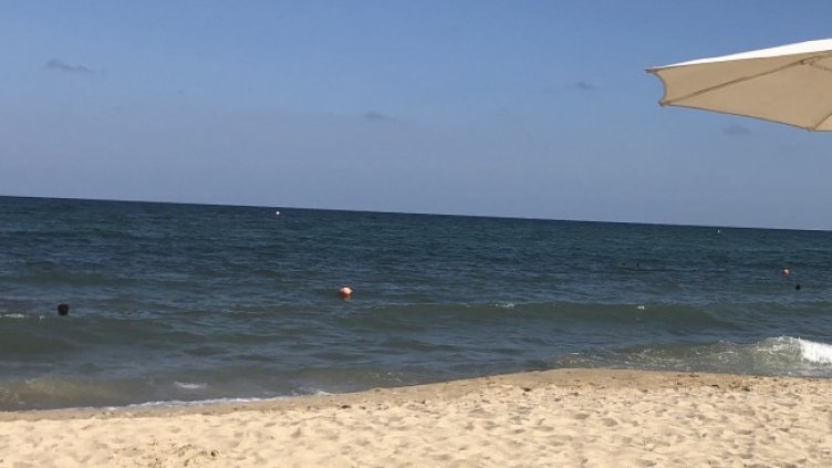 Снимка: архив, БГНЕС