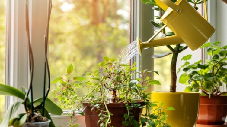 Снимка: istock