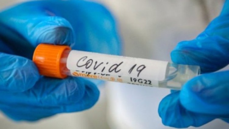 Снимка:Димитър Кьосемарлиев, Dnes.bg