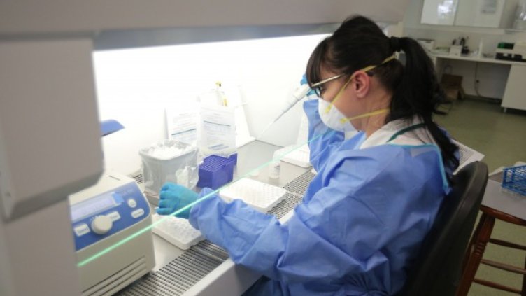 Снимка:Димитър Кьосемарлиев, Dnes.bg