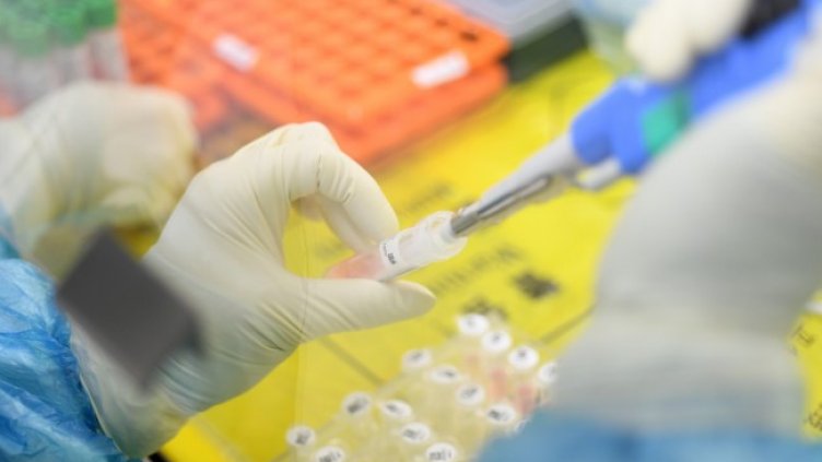 Снимка: БГНЕС