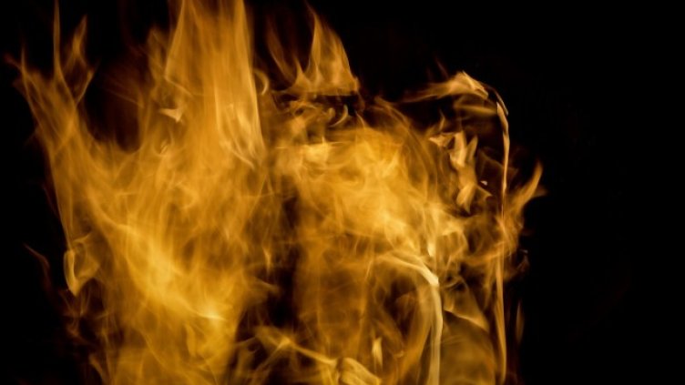 Снимка: Pixabay