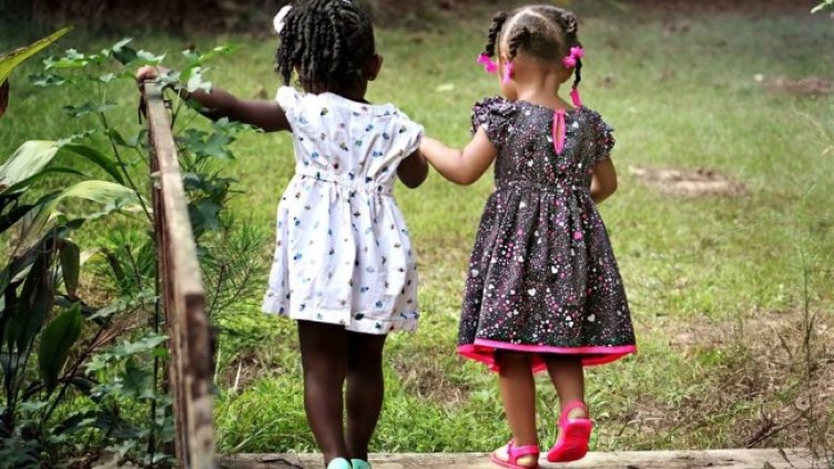 Снимка: Pixabay