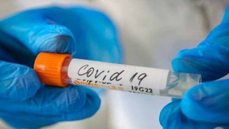 Снимка:Димитър Кьосемарлиев, Dnes.bg