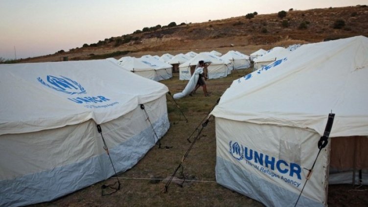 Снимка: архив, БГНЕС