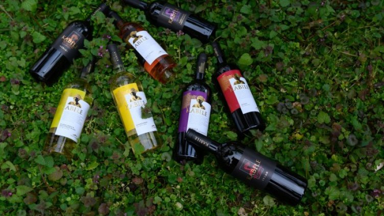 Източник: "Вила Ямбол"
Източник: "Вила Ямбол"