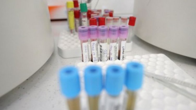 Снимка: Димитър Кьосемарлиев