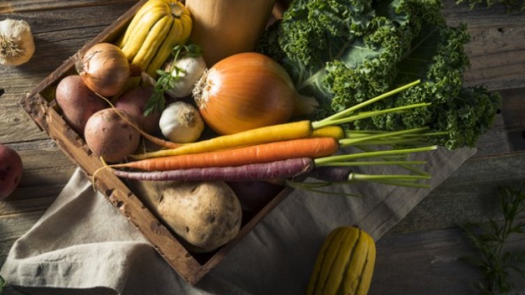 Снимка: istock