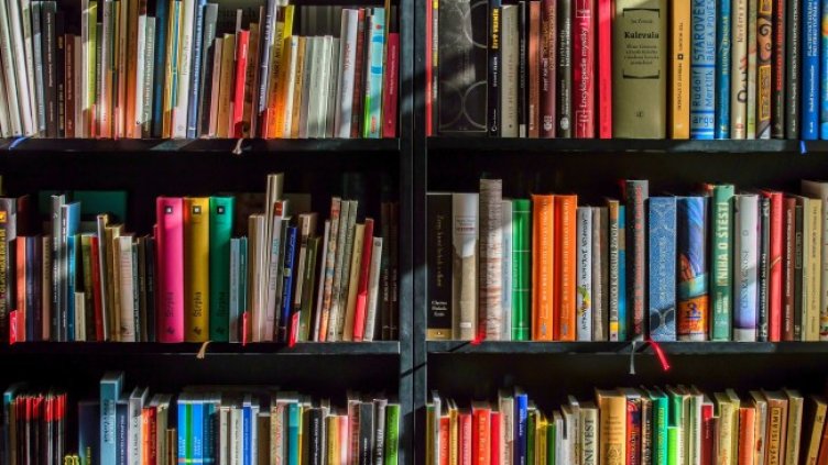 Снимка: Pixabay