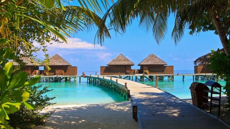 Снимка: Pixabay