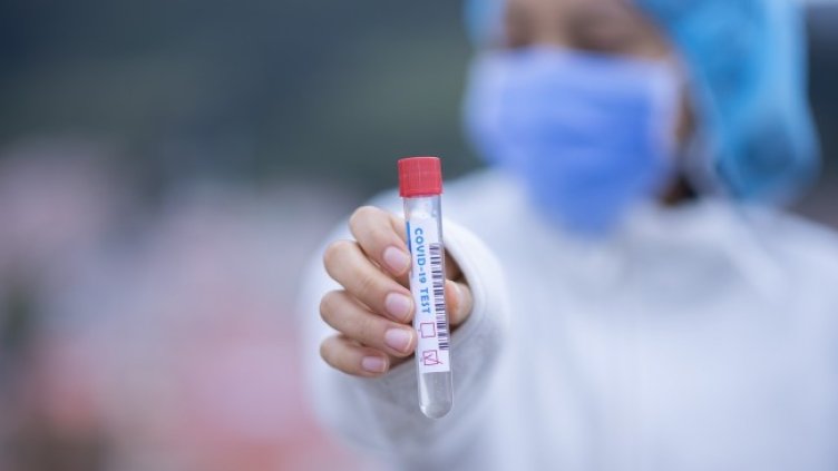 Снимка: Pixabay