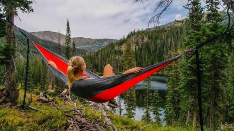 Снимка: Pixabay