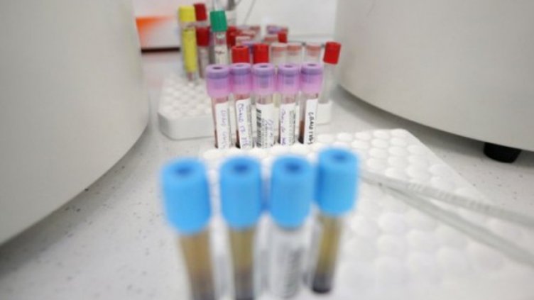 Снимка: Димитър Кьосемарлиев