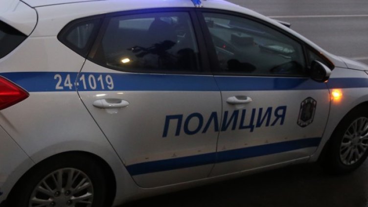 Снимка: архив, БГНЕС