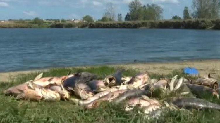 Снимка: Bulgaria ON AIR