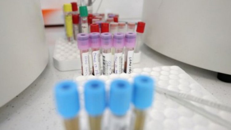 Снимка: Димитър Кьосемарлиев