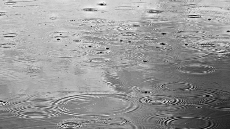 Снимка: Pixabay