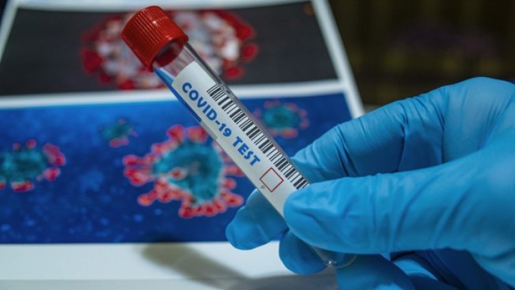 Снимка: Pixabay