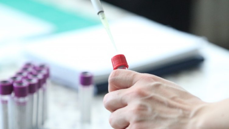 Снимка: архив, БГНЕС