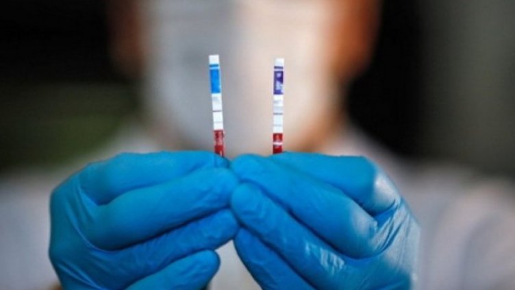 Снимка: архив, БГНЕС