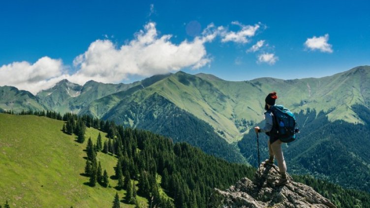 Снимка: Pexels