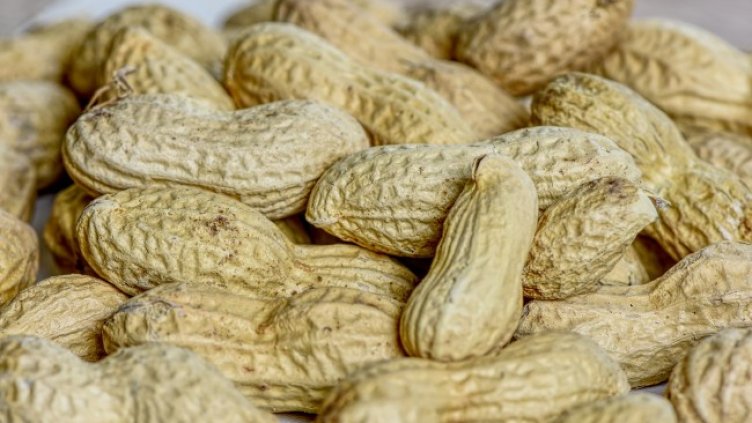 Снимка: Pixabay