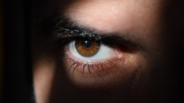 Снимка: Pixabay