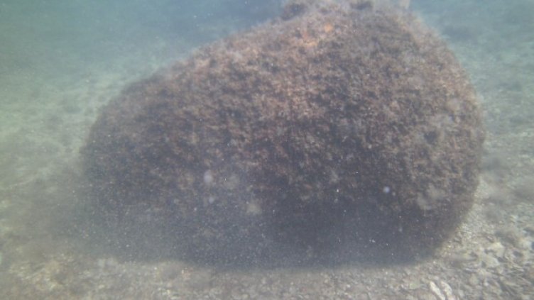 Снимка: ВМС