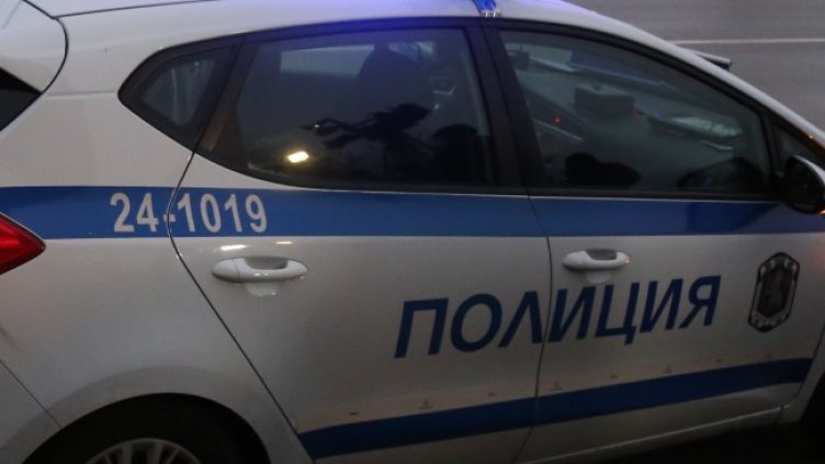 Снимка: архив, БГНЕС