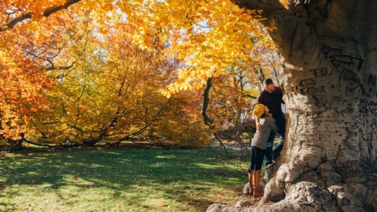 Снимка: Pixabay