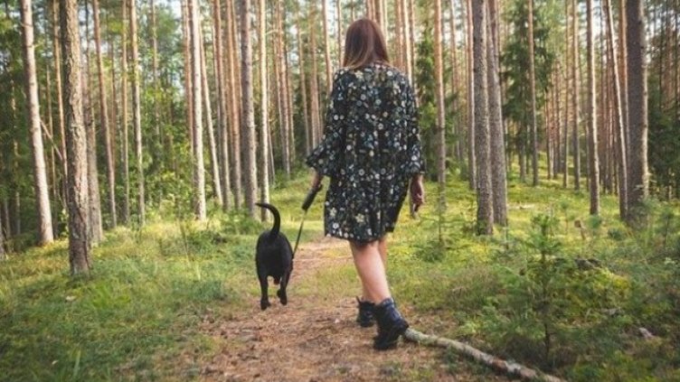 Снимка: pixabay