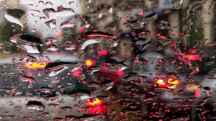 Снимка: архив, БГНЕС