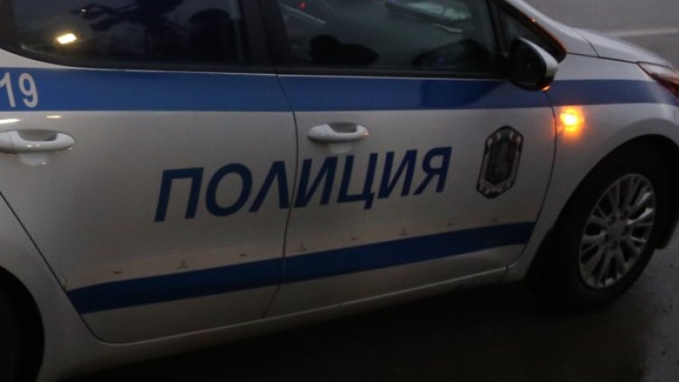 Снимка: архив, БГНЕС