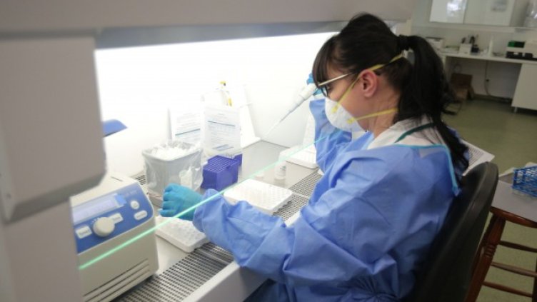 Снимка: Димитър Кьосемарлиев, Dnes.bg