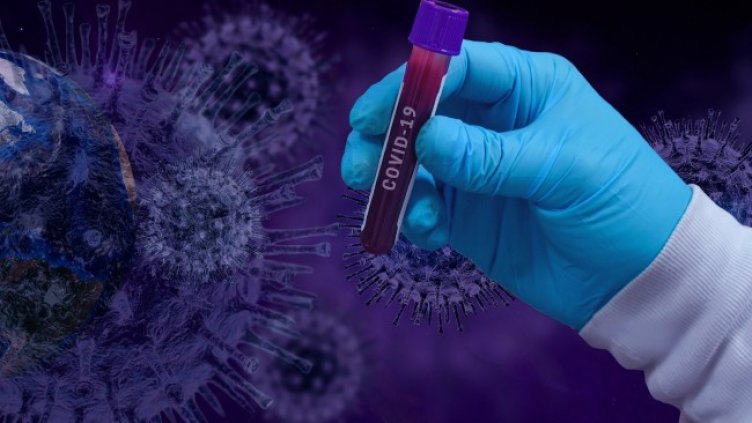 Снимка: Pixabay