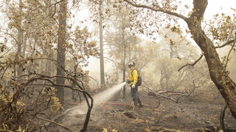 Снимка: БГНЕС