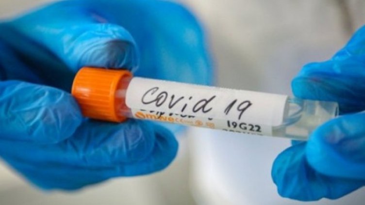 Снимка:Димитър Кьосемарлиев, Dnes.bg