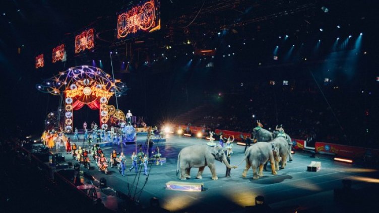 Снимка: Pixabay