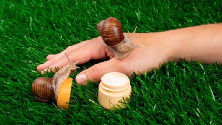 IStockphoto