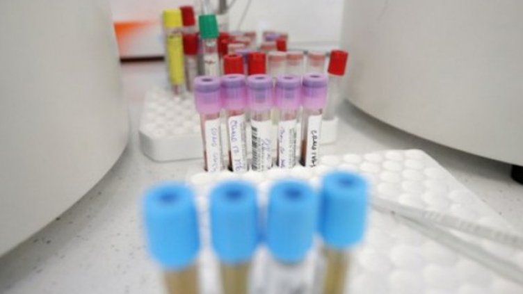 Снимка: Димитър Кьосемарлиев