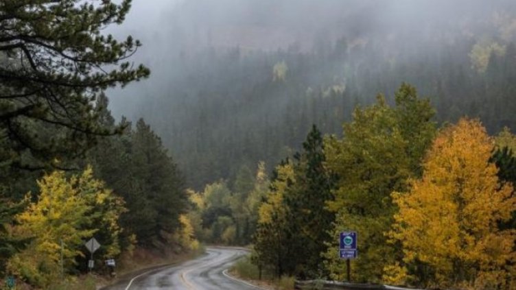 Снимка: pexels.com