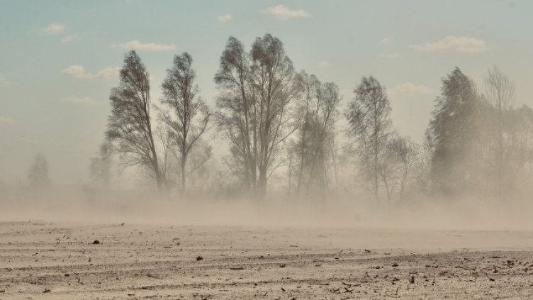 Снимка: Pixabay