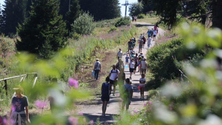 Снимка: БГНЕС