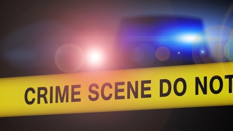 Снимка: Pixabay