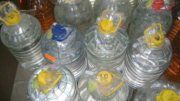 Агенция Митници