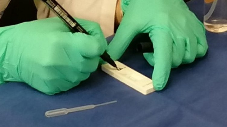 Снимка: БГНЕС