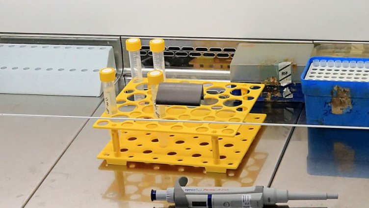 Снимка: БГНЕС