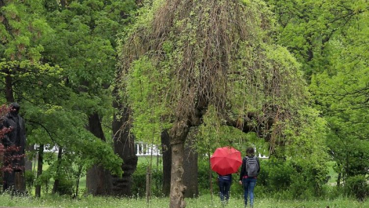 Снимка: БГНЕС